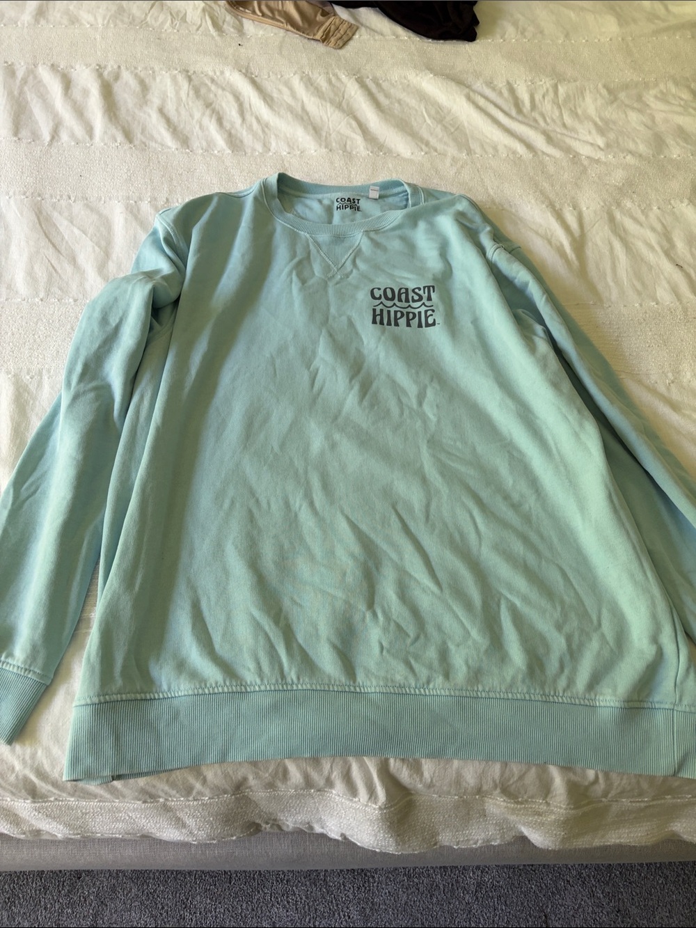 Women's Mint Crewneck Sweatshirt